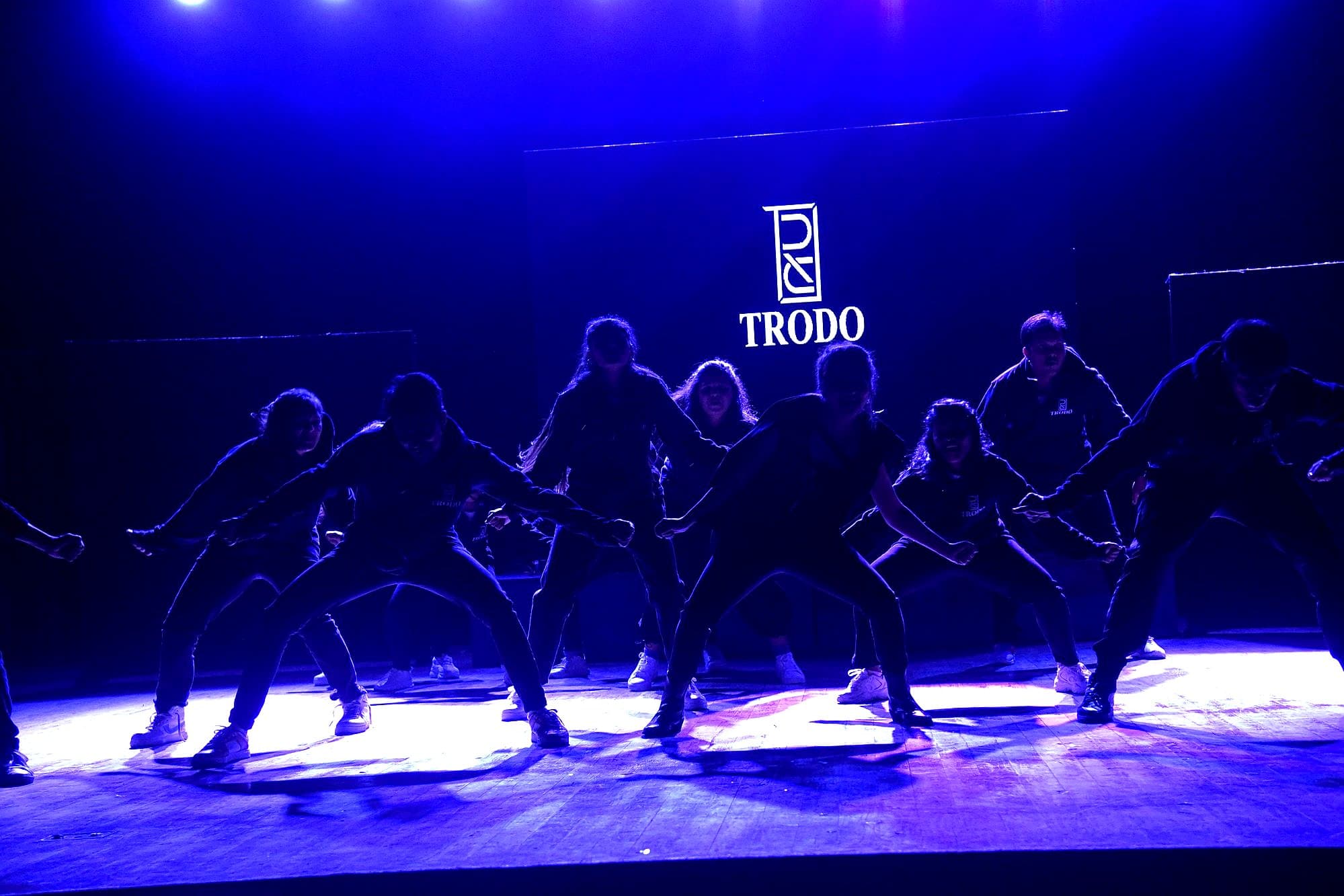 Trodo choreography session